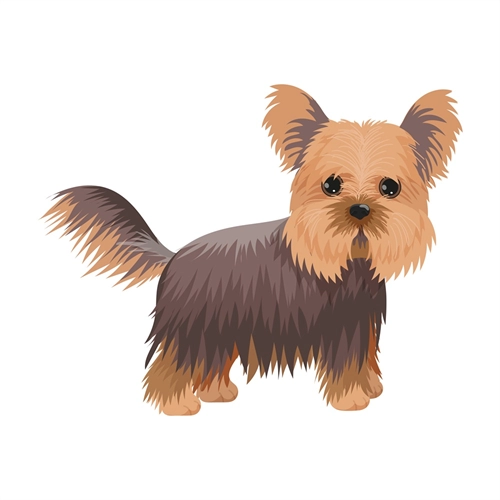 Dog Lovers Theme Yorkshire Terrier Dog Transparent Sticker